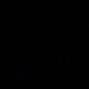 Meet your Posher, Bridget